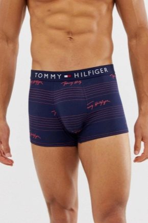 Tommy Hilfiger muške gaćice