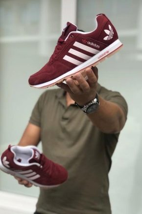 Mga sneaker ng kalalakihan ng Adidas: isang pangkalahatang ideya ng kasalukuyang mga modelo