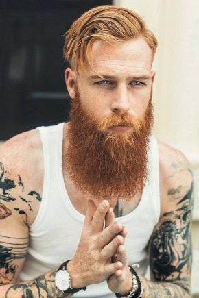 Tout sur la barbe rousse