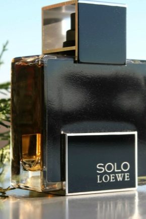 Description du parfum pour homme Loewe