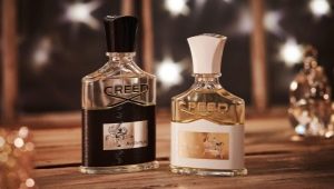 Critique du parfum pour homme Creed