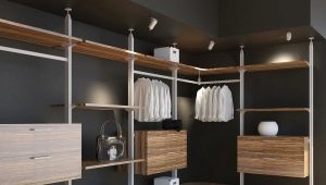 Mga system ng modular wardrobe