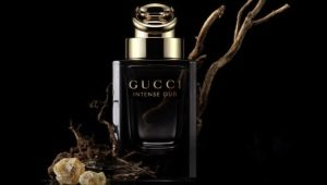 Description du parfum pour homme Gucci