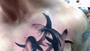 Examen des tatouages ​​​​masculins avec le signe du zodiaque Poissons