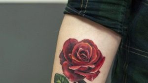 Aperçu des tatouages ​​​​pour hommes en forme de rose sur le bras et leur emplacement