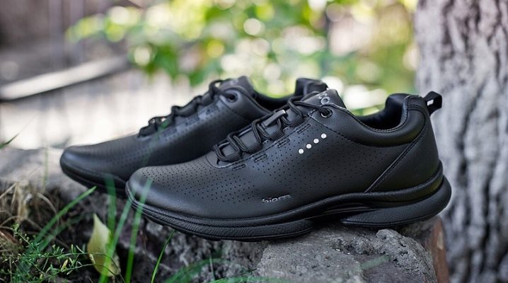 ECCO men's sneakers: features and choices