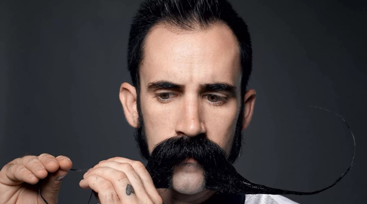 Longue moustache - que sont-elles et à qui conviennent-elles?