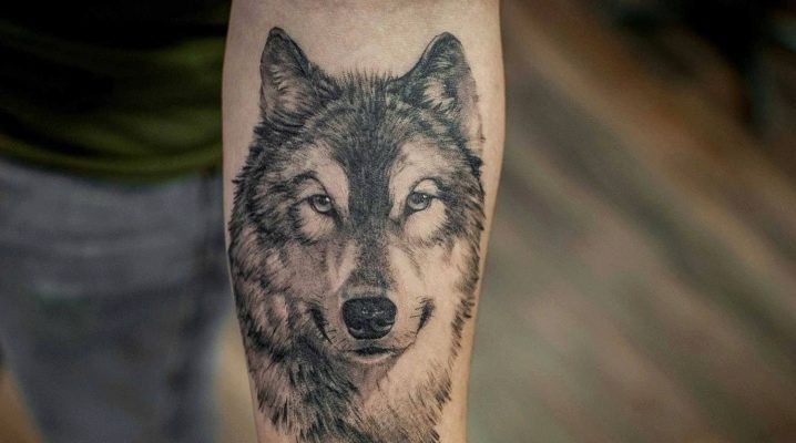 Lahat ng tungkol sa mga tattoo ng lobo ng kalalakihan