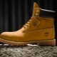 Pánske topánky Timberland