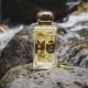 Les meilleurs parfums masculins selon les femmes