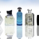 Parfums frais pour hommes